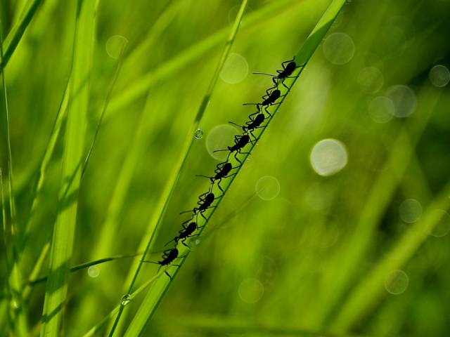 خدمات تعمیرات